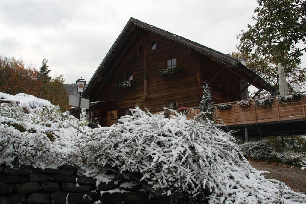 Kastanienhof Apartment Hotel Dannenfels ภายนอก รูปภาพ